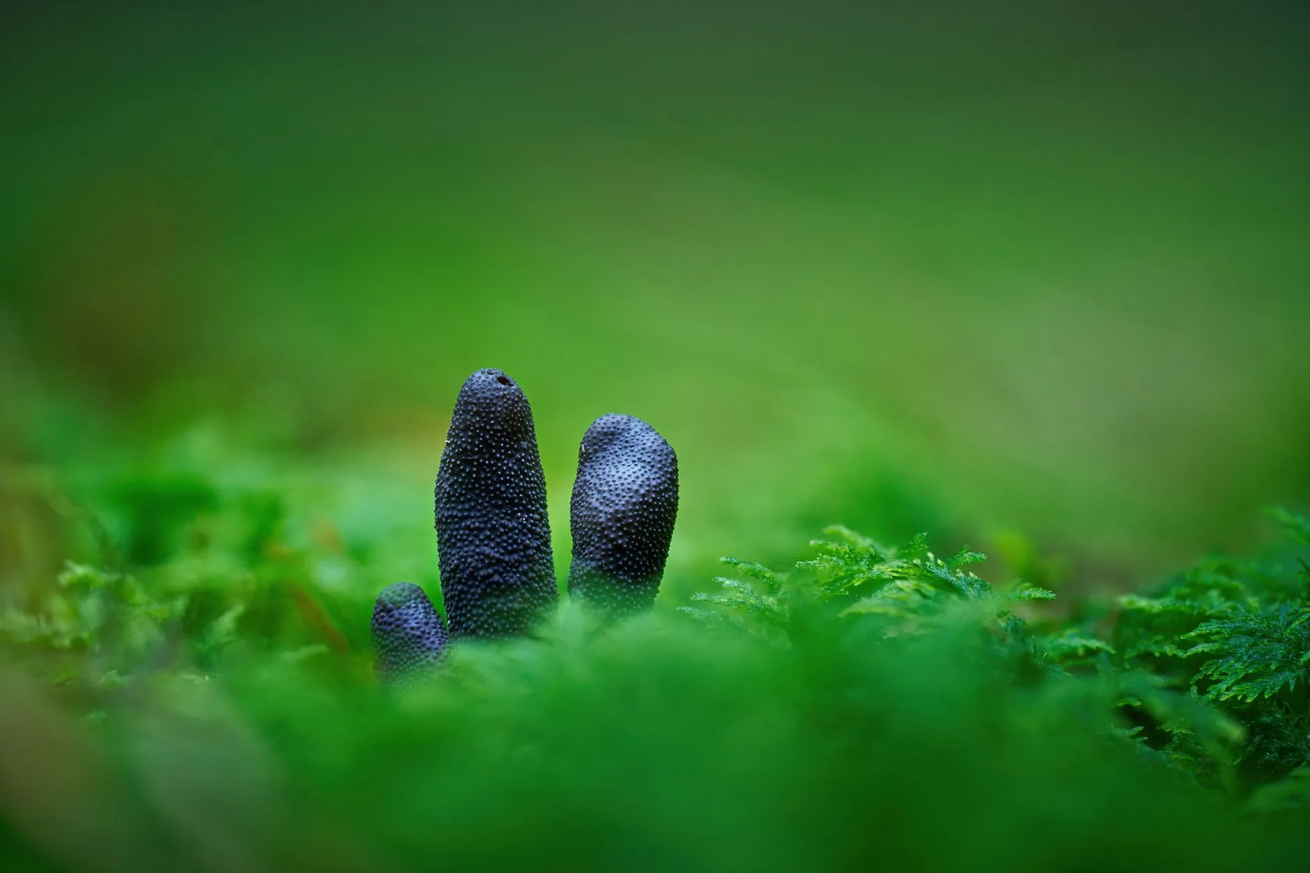 智能电表高精度计量技术在工业企业中的应用解析